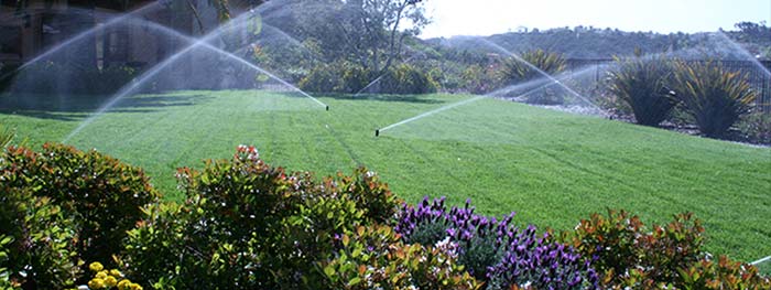 Beautifully landscaped residential garden maintained by Lakeland Irrigation Pros